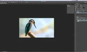 Odbicie lustrzane w Photoshopie: Krok po kroku. Efekty i błędy