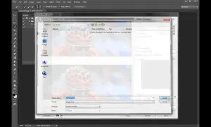 Photoshop: Skalowanie zdjęć idealnie pod web i druk Jak to zrobić?