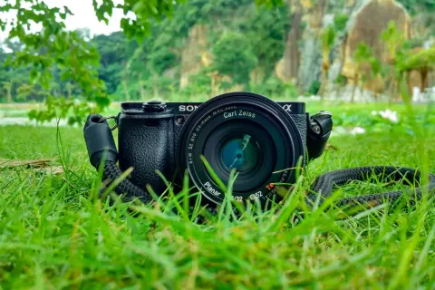 Jaki aparat do fotografowania zwierząt? Wybór sprzętu dla każdego!