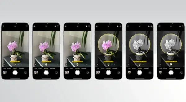 Ładne zdjęcia smartfonem? Klucz to światło, kompozycja i edycja