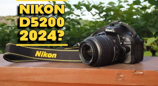 Lustrzanka Nikon w 2026? Czy warto kupić? Poradnik.