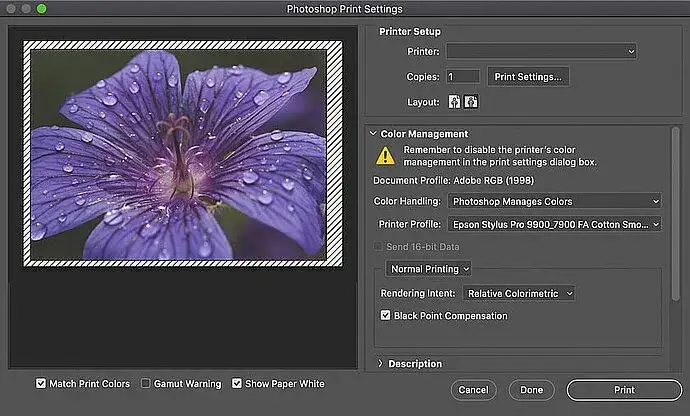 Photoshop Soft Proofing settings and Gamut Warning