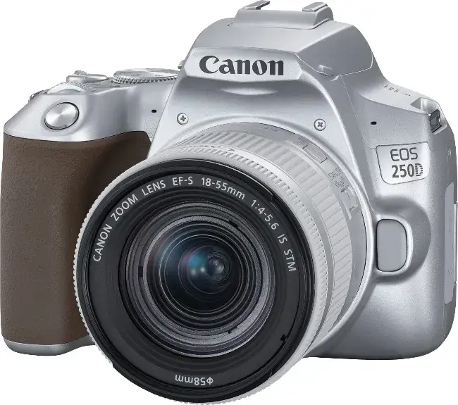 Porównanie lustrzanek Canon EOS 2000D, Nikon D3500, Canon EOS 250D, Nikon D5600