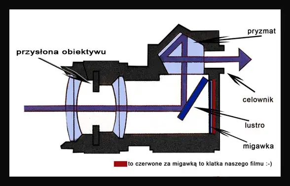 schemat budowy lustrzanki cyfrowej