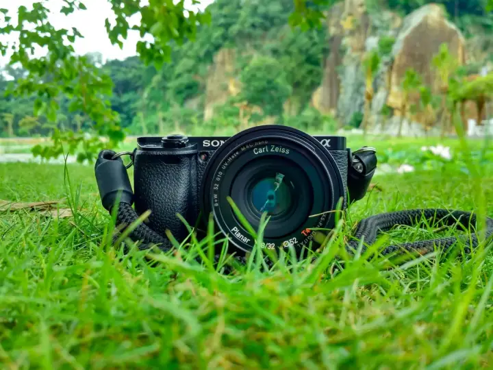 Jaki aparat do fotografowania zwierząt? Wybór sprzętu dla każdego!